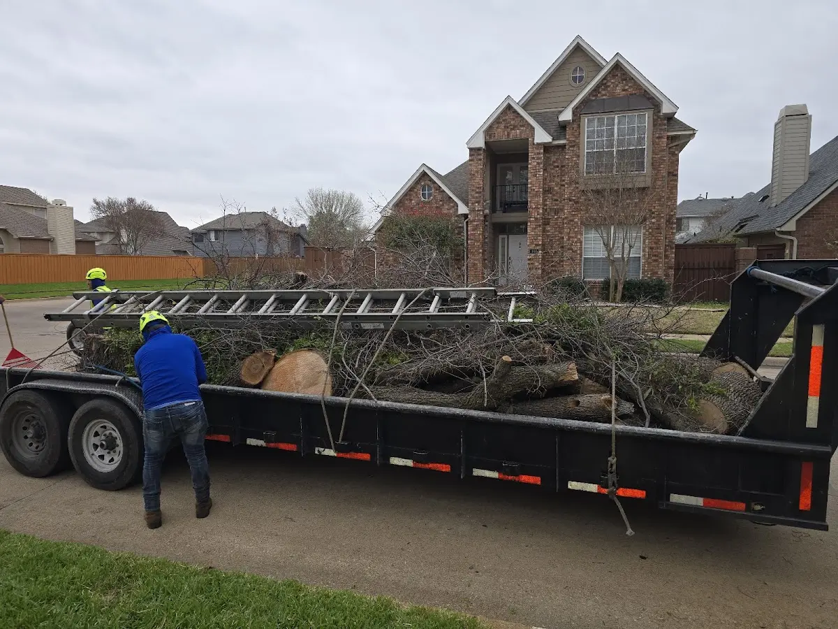 Expert Tree Removal with proper safety equipment in Lakeville